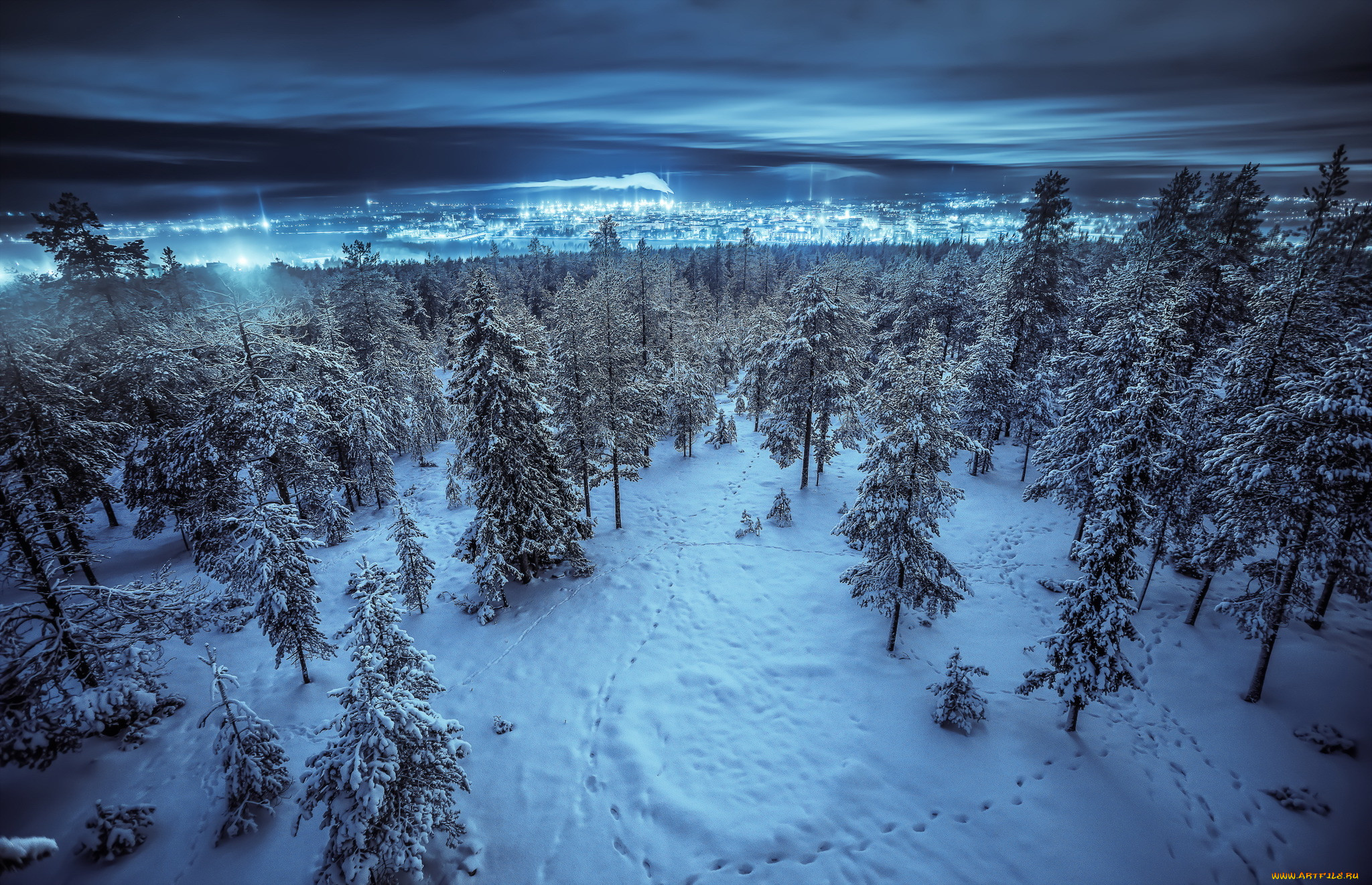 Вид зимы. Сибирская Тайга ХМАО сверху. Ночной зимний лес. Тайга зимой. Зима в лесу.